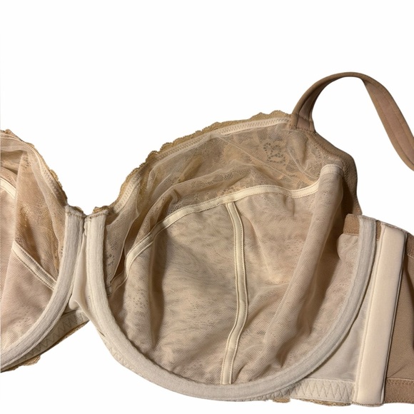 Cacique Modern Lace 3 pc Cup Bra - Picture 6 of 9